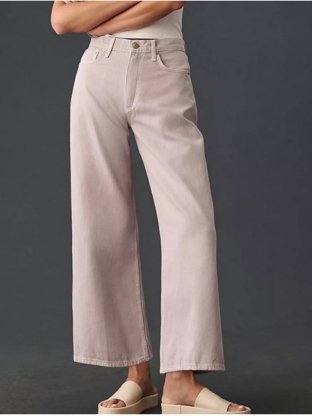 BOGO! Anthropologie Rag & Bone Andi High Rise Wide Leg Jeans 26